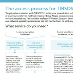 Agios Access Delivery Process Map.pdf